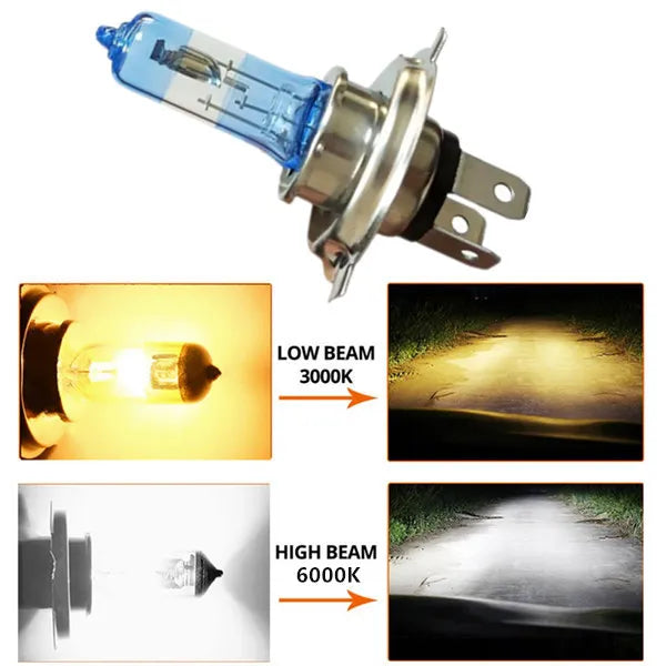 Car Light H4 H7 Auto Halogen Lamps Bulb Fog Lights 100W 3000K 4300K 6000K 12V Motercycle Car Halogen Bulb Ampoule Voiture
