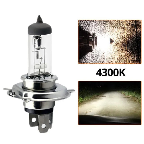 Car Light H4 H7 Auto Halogen Lamps Bulb Fog Lights 100W 3000K 4300K 6000K 12V Motercycle Car Halogen Bulb Ampoule Voiture