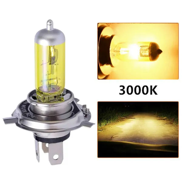 Car Light H4 H7 Auto Halogen Lamps Bulb Fog Lights 100W 3000K 4300K 6000K 12V Motercycle Car Halogen Bulb Ampoule Voiture